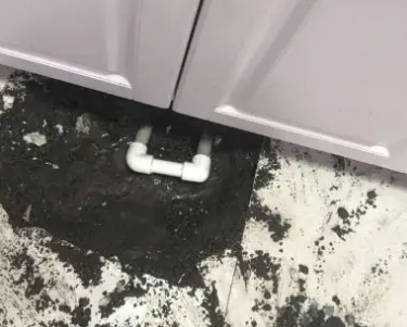 茂南查漏水哪家好